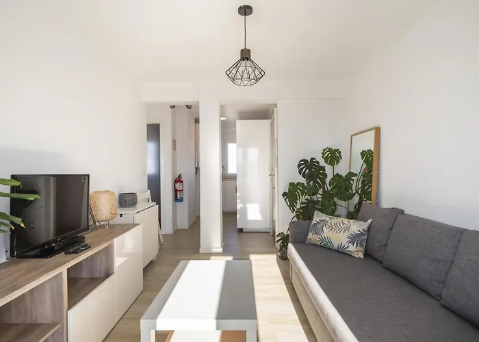 Luminoso Apartamento En Santander Jdc